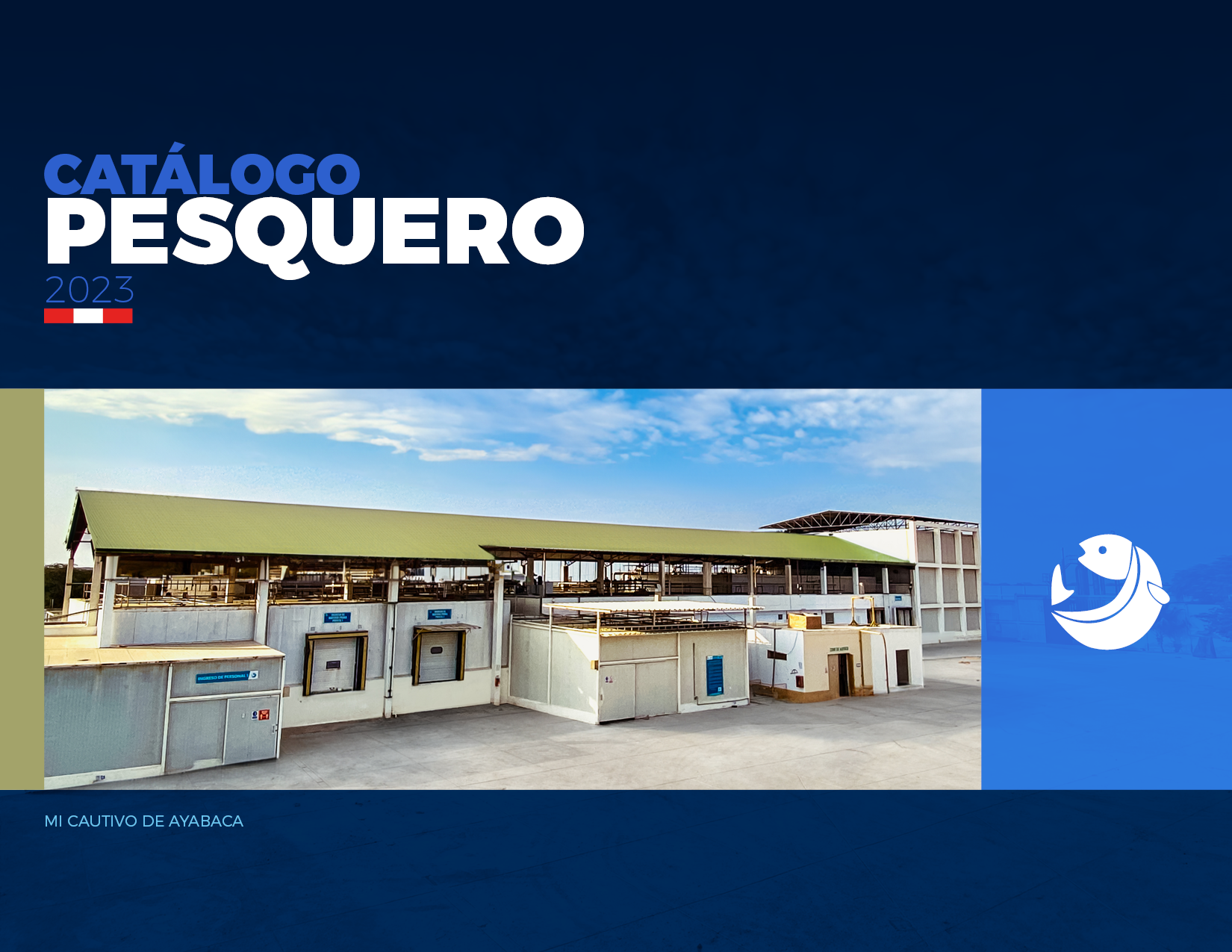brochure 1